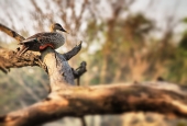 IIP Online Student Photography